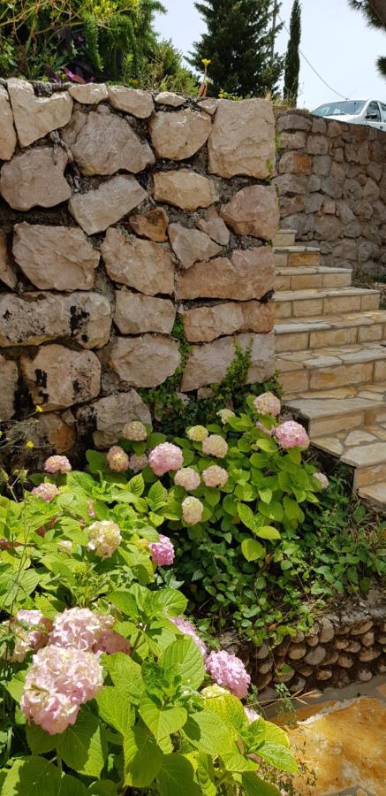Kuca Za Odmor Jelena Villa Starigrad Paklenica Luaran gambar