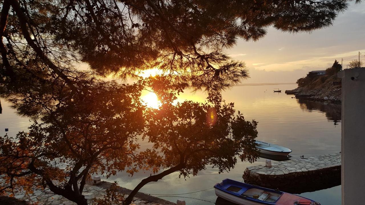 Kuca Za Odmor Jelena Villa Starigrad Paklenica Luaran gambar