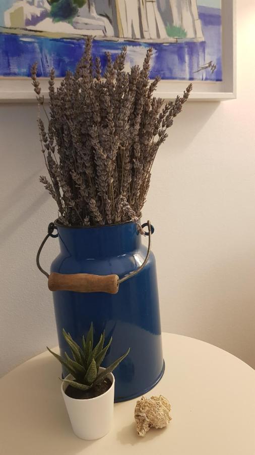 Kuca Za Odmor Jelena Villa Starigrad Paklenica Luaran gambar